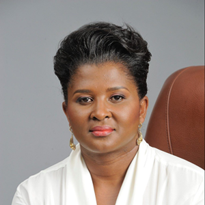 H.E. Madame Monica Geingos